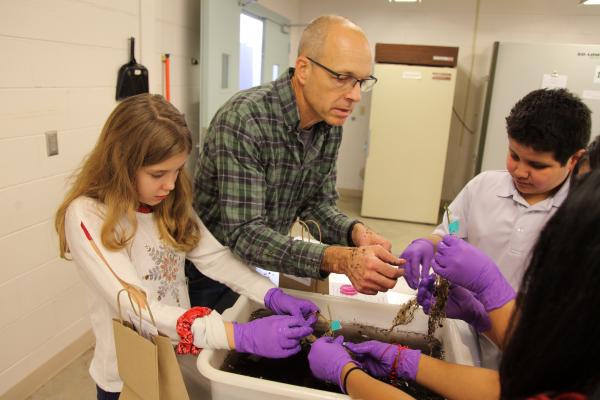 Students work with ABRC & CAPS staff to clean soybean roots
