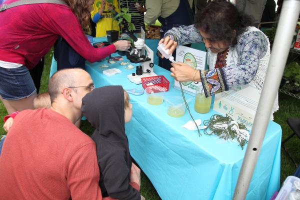 ABRC's Gauri Datta helps a young visitor extract DNA from applesauce